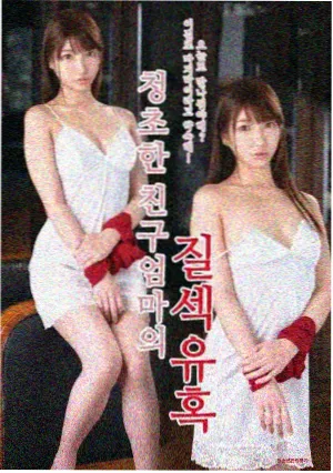 第九季素人嘉宾档案卡片